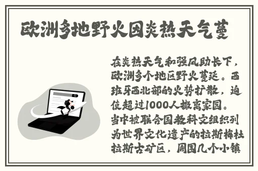 天降之物剧场版:永远的我的鸟笼 动画片