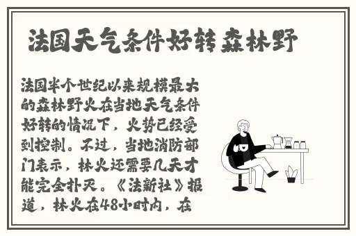 榴莲视频下载软件在线观看