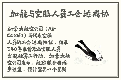 两个人做亏亏的软件
